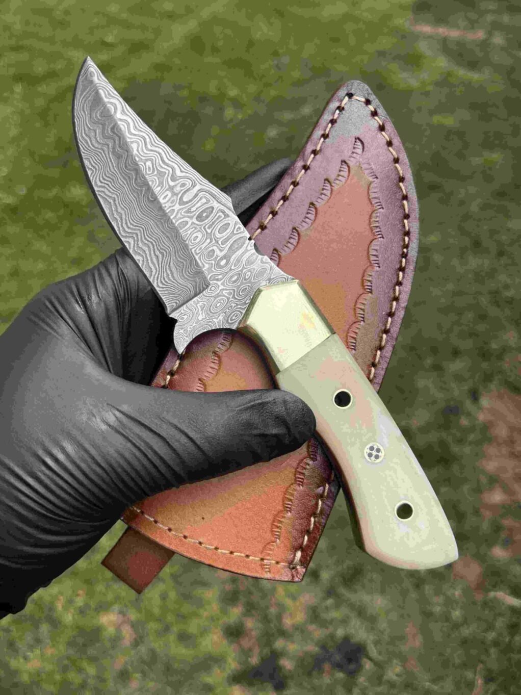 8" Hunting Knife with Notch